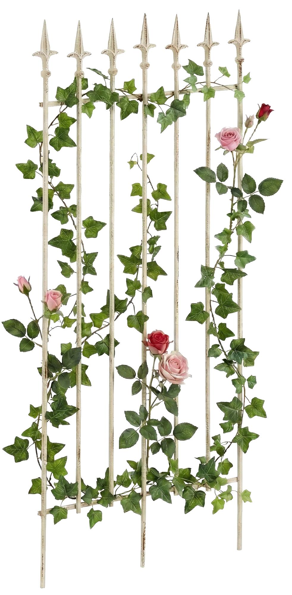 Grigliato rampicante Elisa 100 x 50 cm