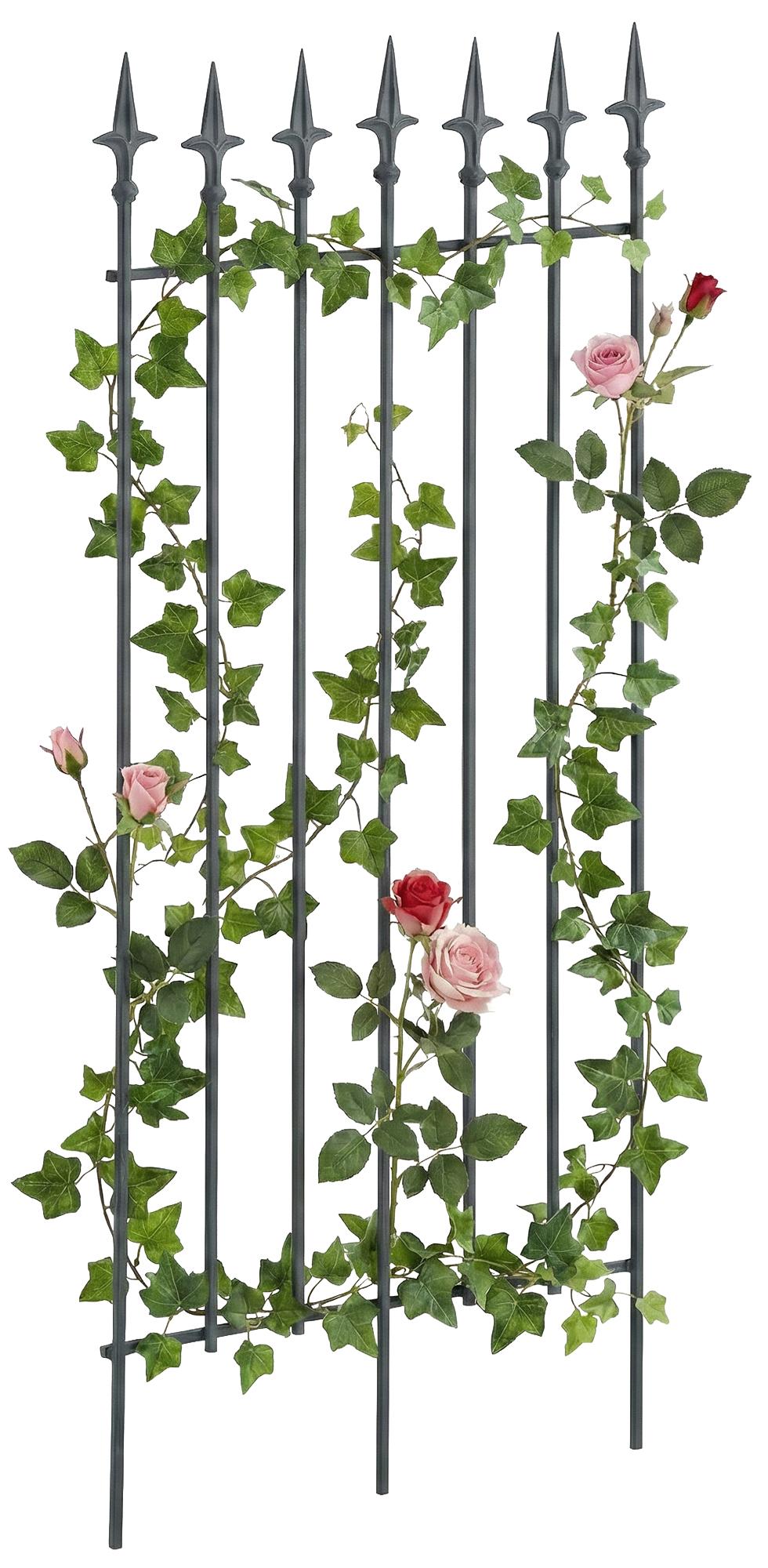 Grigliato rampicante Elisa 100 x 50 cm