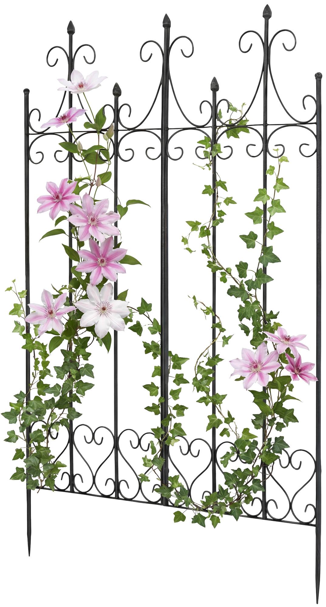 Spalliera Flieder 130x100 cm in Metallo, Stile Rustico per Rampicanti