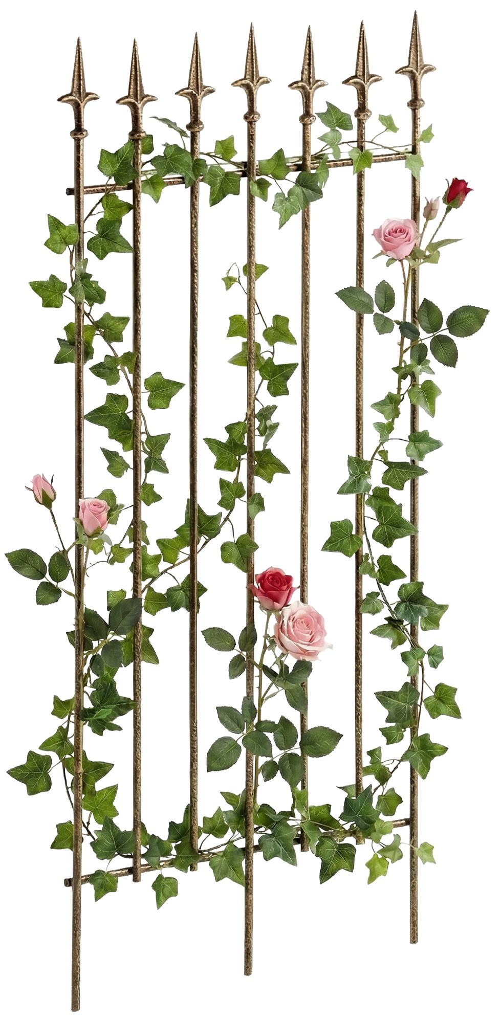 Rankgitter-Elisa-100-x-50-cm-305503