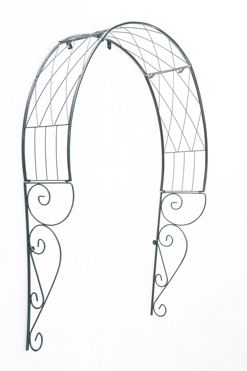 Arco metallico per varie piante rampicanti, Pergolato da interno