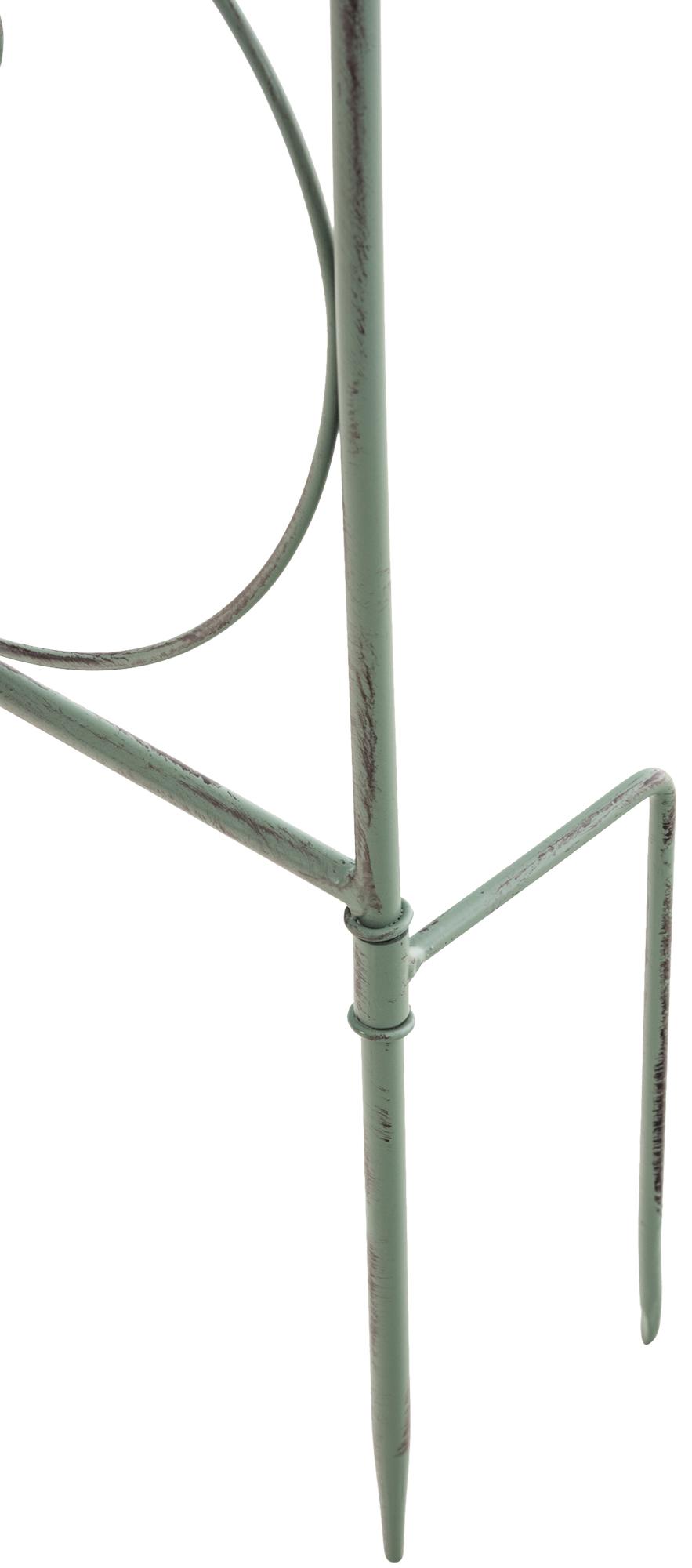 Traliccio Mandevilla 133 x 99 cm